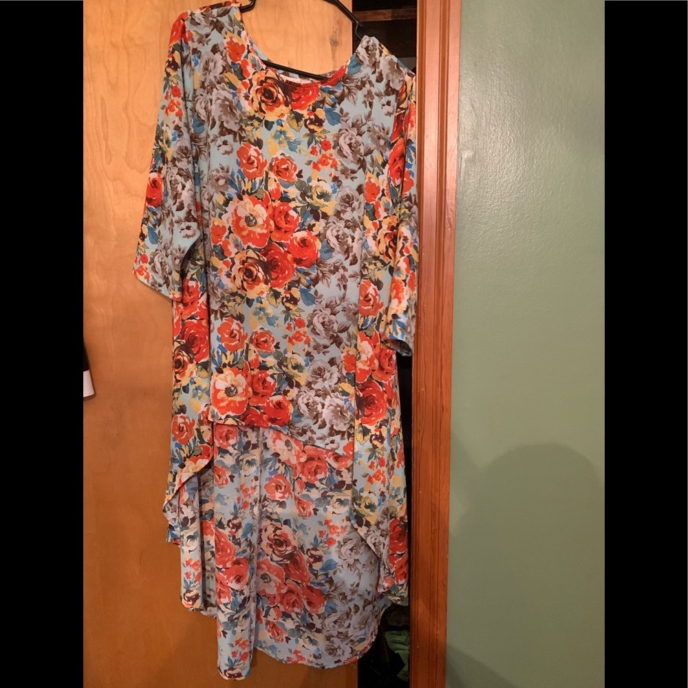 Zadie B tunic 2X